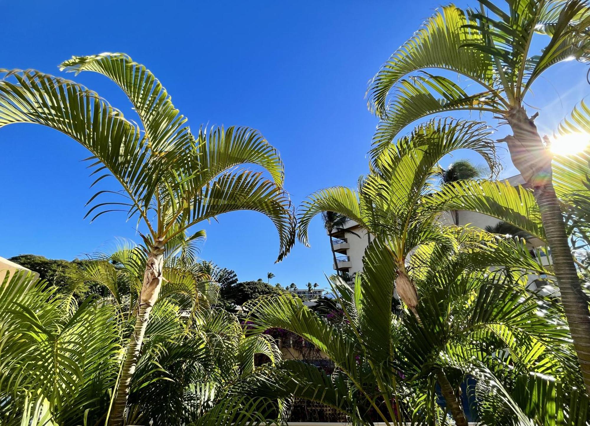 Maui Banyan Villa Wailea  Phòng bức ảnh