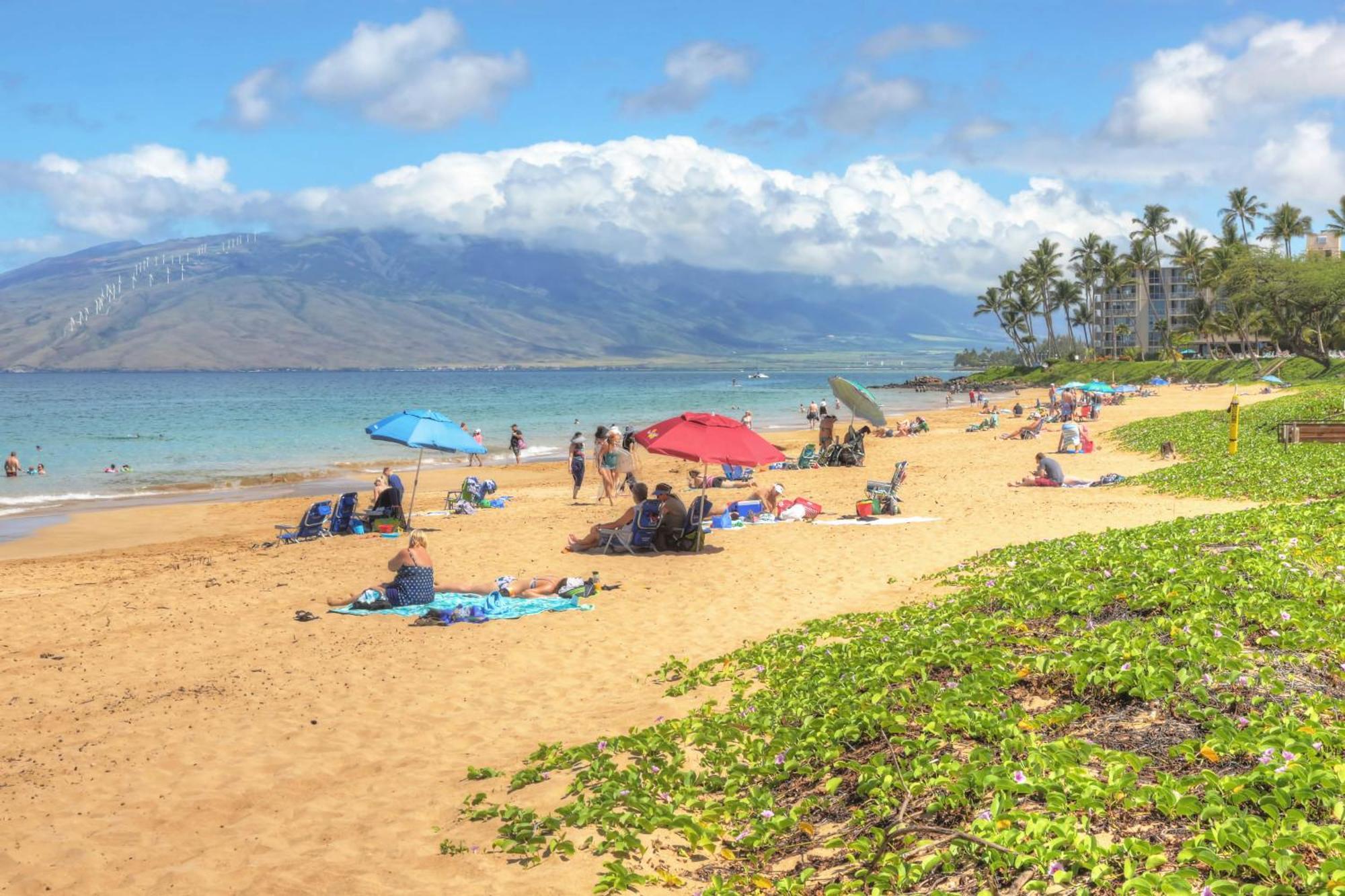 Maui Banyan Villa Wailea  Phòng bức ảnh
